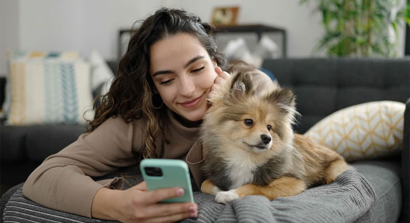 veterinario-online3