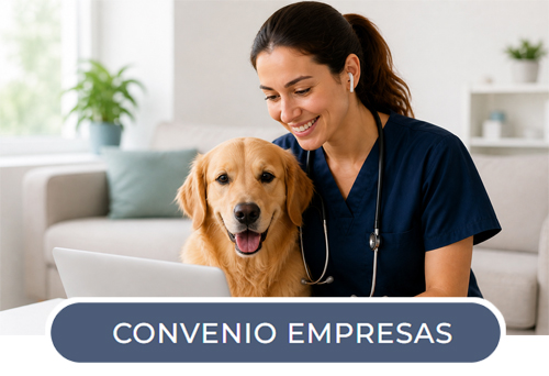 convenio-empresas-boton