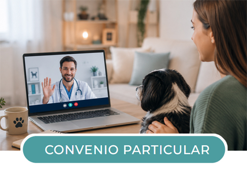 convenio-particular-boton